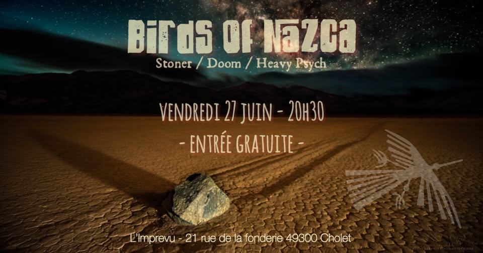 BIRDS OF NAZCA